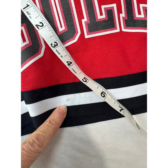 Vintage Chicago Bulls Six Time NBA Finals Championship Pro Standard Shorts Large - Picture 11 of 14